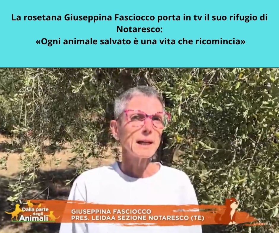 Giuseppina Fasciocco con alcuni animali accolti nel suo rifugio a Notaresco, raccontato da Rete 4